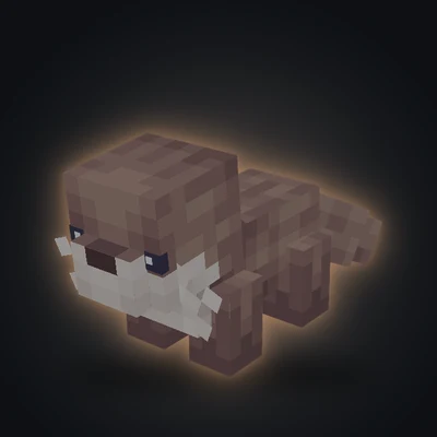 Lontra